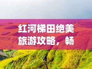 红河梯田绝美旅游攻略,畅游梯田风光!