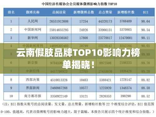 云南假肢品牌TOP10影响力榜单揭晓!