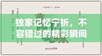 独家记忆宁折，不容错过的精彩瞬间！