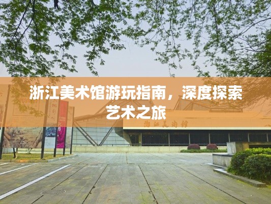 浙江美术馆游玩指南,深度探索艺术之旅