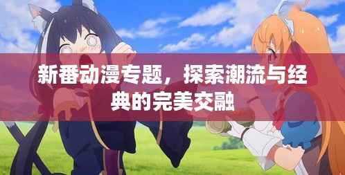 新番动漫专题，探索潮流与经典的完美交融