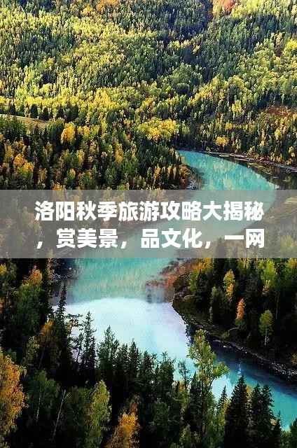 洛阳秋季旅游攻略大揭秘,赏美景,品文化,一网打尽秋日风情!