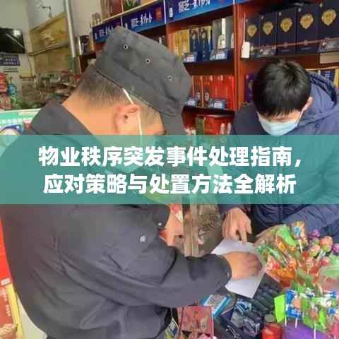 物业秩序突发事件处理指南，应对策略与处置方法全解析