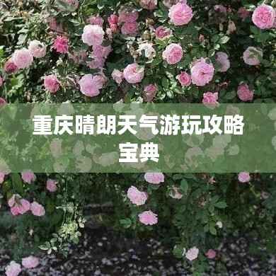 重庆晴朗天气游玩攻略宝典