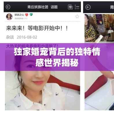 bainiaozhengming 第4页