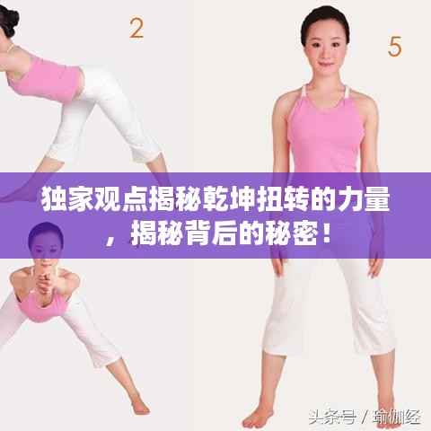 独家观点揭秘乾坤扭转的力量,揭秘背后的秘密!