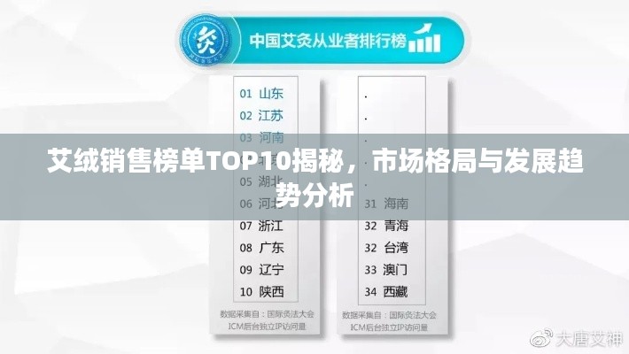 艾绒销售榜单TOP10揭秘,市场格局与发展趋势分析