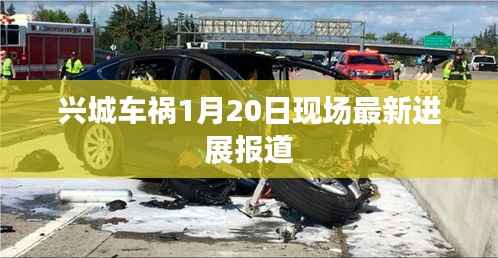 兴城车祸1月20日现场最新进展报道